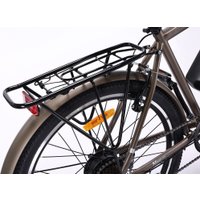 Электровелосипед MyWay Let 1.0 250 26 Pro (титан матовый)