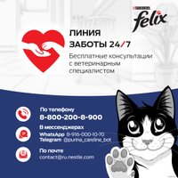 Пресервы Felix Аппетитные кусочки с кроликом в желе 75 г