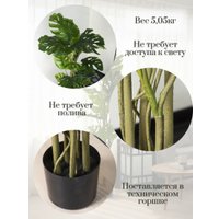 Искусственное растение Merry Bear Home Decor Монстера AX459150