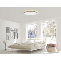 Светильник-тарелка Yeelight Halo Ceiling Light YLXD50YL