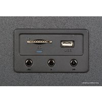 Акустика SVEN IHOO T100U