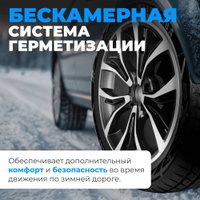 Зимние шины Autogreen Snow Ranger AW09 235/55R20 102H