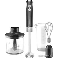 Погружной блендер CENTEK CT-1349 (черный)