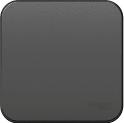 

Выключатель Schneider Electric Blanca BLNVA101016