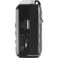 Радиоприемник Perfeo Palm i90 PF-A4870