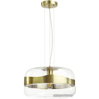 Подвесная люстра Odeon Light Apile 4813/1A