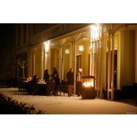 Биокамин Faber theBUZZ