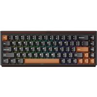 Клавиатура Akko Ray68 HE Magnetic Misty Black Tea (Akko AstroAim Magnetic)