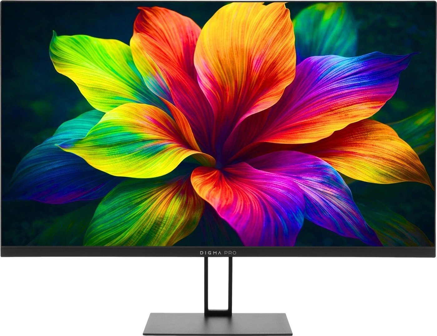 Монитор Digma Pro Motion S TM24SB01