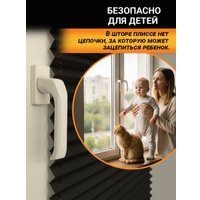 Плиссе Delfa Crep BLO СПШ-36205 (48x160, черный)
