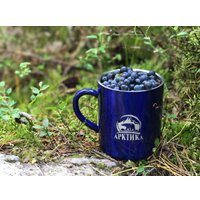 Термокружка Арктика 802-400 (синий)