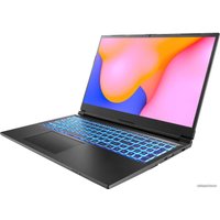 Игровой ноутбук CLEVO NP50DB SW13893