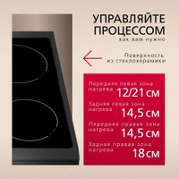 Кухонная плита Hansa FCCM69225H