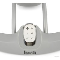 Шезлонг Nuovita Agio (серый)