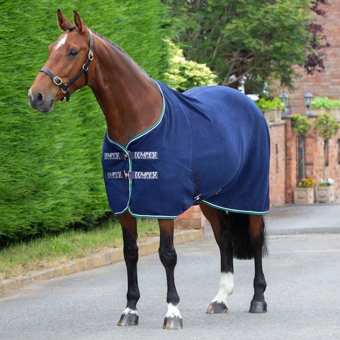 

Попона для животных Shires Tempest Fleece Rug 150 (синий)