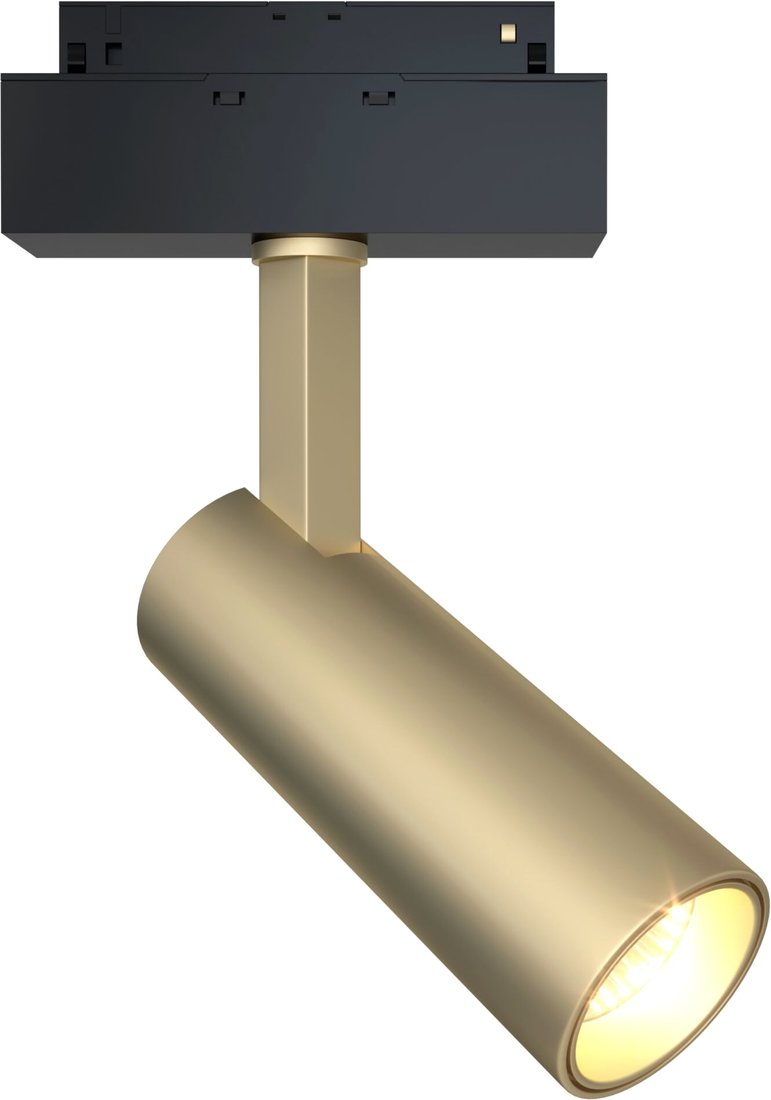 

Точечный светильник Maytoni TR019-2-10W3K-MG