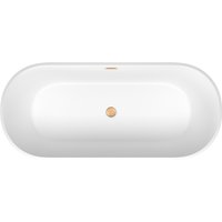 Ванна Wellsee Shell 180x80 28170404R (отдельностоящая ванна белый глянец, экран, ножки, сифон-автомат золото)