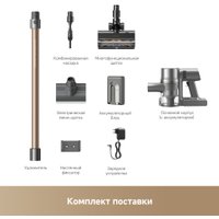 Пылесос Dreame R20 CE VRV60F (евровилка, серый)