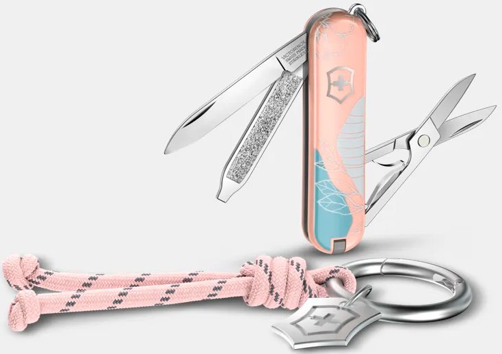 

Мультитул Victorinox Classic SD Paris Style 0.6223.E221