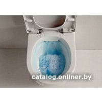 Унитаз подвесной SSWW CT2039V NC4477 в Могилеве