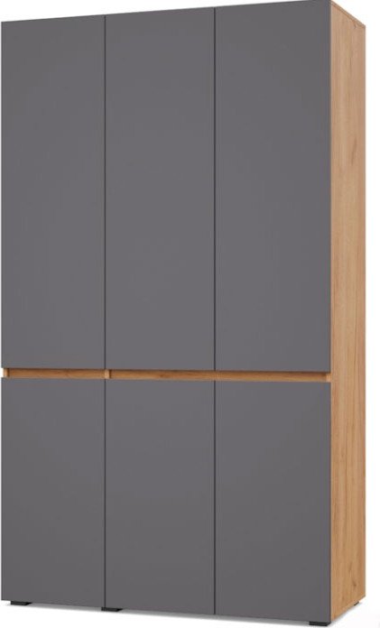 

Шкаф распашной Modern Тифани Т31 (золотистый дуб/графит)