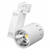 LGD-520WH-30W-4TR Warm White 017760