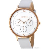 Наручные часы Skagen SKW2311