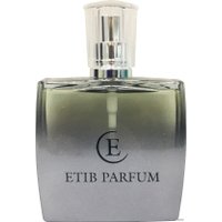 Парфюмерная вода ETIB Parfum W1 EdP (100 мл)