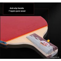 Набор для настольного тенниса Double Fish 5D-C