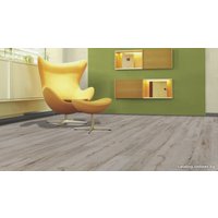 Ламинат Kaindl Classic Touch Дуб Bari (34266)