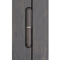 Металлическая дверь Steel Design Prestige 1
