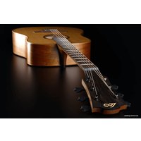 Акустическая гитара LAG Tramontane 170 T170D