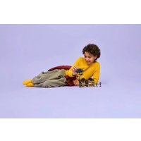 Конструктор LEGO Wednesday 76784 Черный георгин