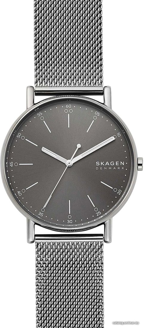 Наручные часы Skagen SKW6577