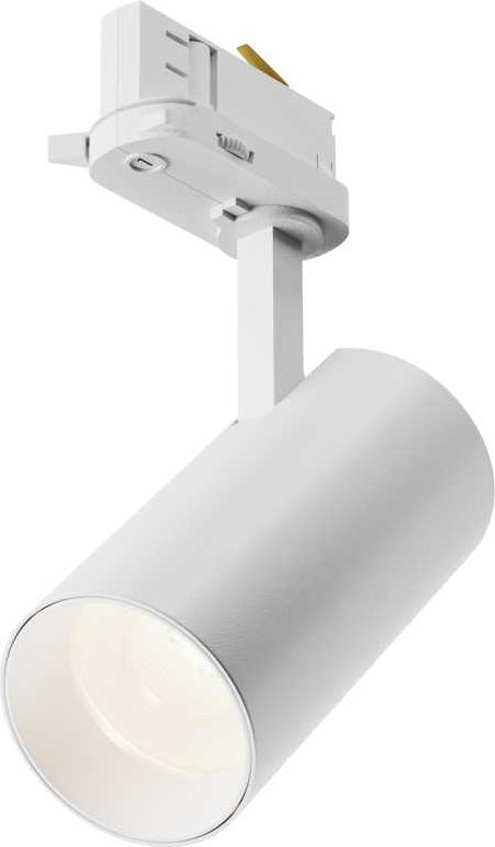 

Трековый светильник Maytoni Technical TR197-3-12WCCT-M-W