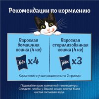 Пресервы Felix Sensations с курицей в желе с морковью 75 г (26 шт)