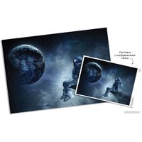 Пазл ФРЕЯ Путь домой PZL-500/33