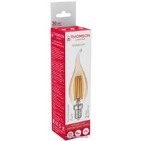 Светодиодная лампочка Thomson Filament Tail Candle TH-B2119