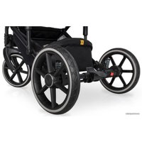 Универсальная коляска Expander Exeo (2 в 1, 01 silver)