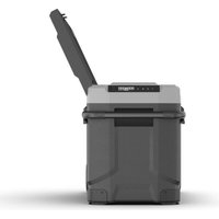 Компрессорный автохолодильник Alpicool ZGW51 (черный, с адаптером GVE 12/24/115/230V)