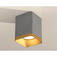 Припотолочная люстра Ambrella light Techno spot XS7814004 SGR/SGD