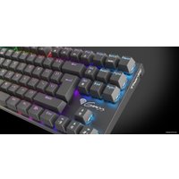 Клавиатура Genesis Thor 300 TKL RGB