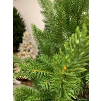 Ель Albero Di Natale Agata 3.5 м