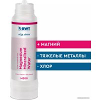 Картридж BWT Mineralized Water M300 812592