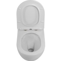 Унитаз подвесной Cezares Stream CZR-2426-TH-TOR/SC в Борисове