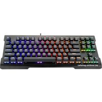 Клавиатура Redragon Visnu RGB