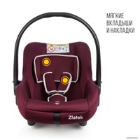 Детское автокресло Zlatek Colibri (бордовый)