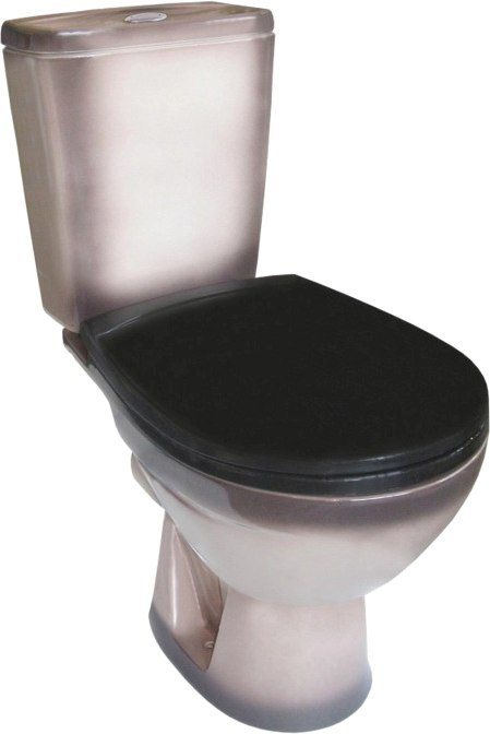 

Унитаз напольный Rosa Соло 537311 (черный)