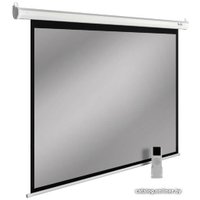 Проекционный экран CACTUS SIlverMotoExpert 150x240 CS-PSSME-240X150-DG