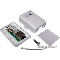 Розетка компьютерная TWT TWT-SM1-45/S6-WH